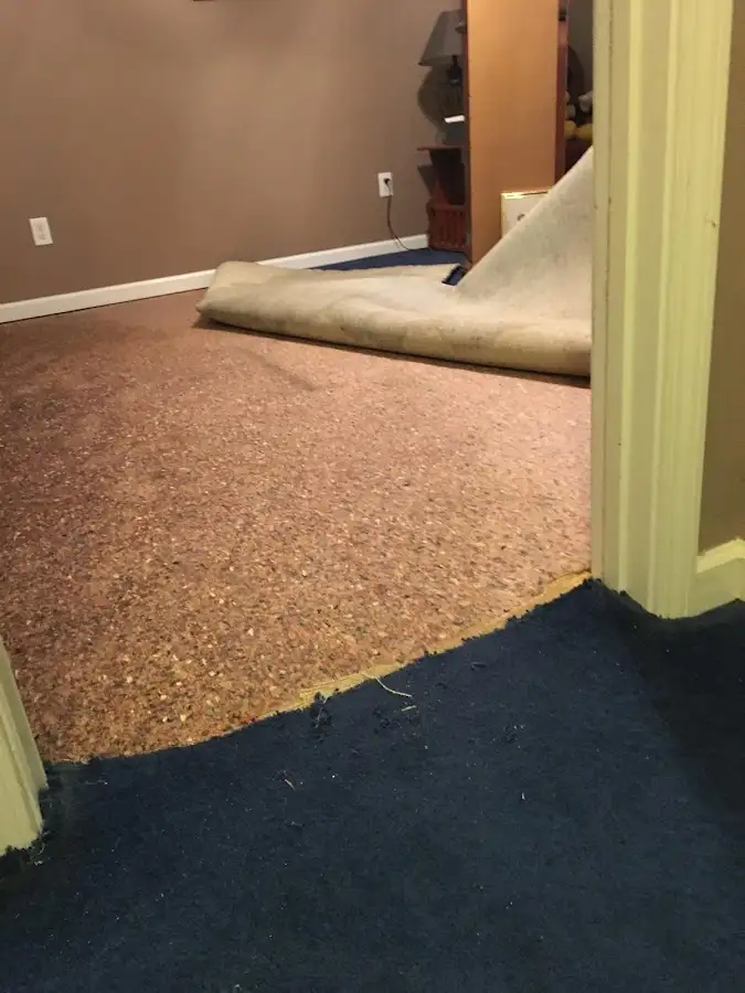 Carpet pad removal revealing water damage during Drying & Dehumidification in Inkster